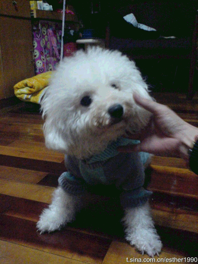 鿴ͼƬ