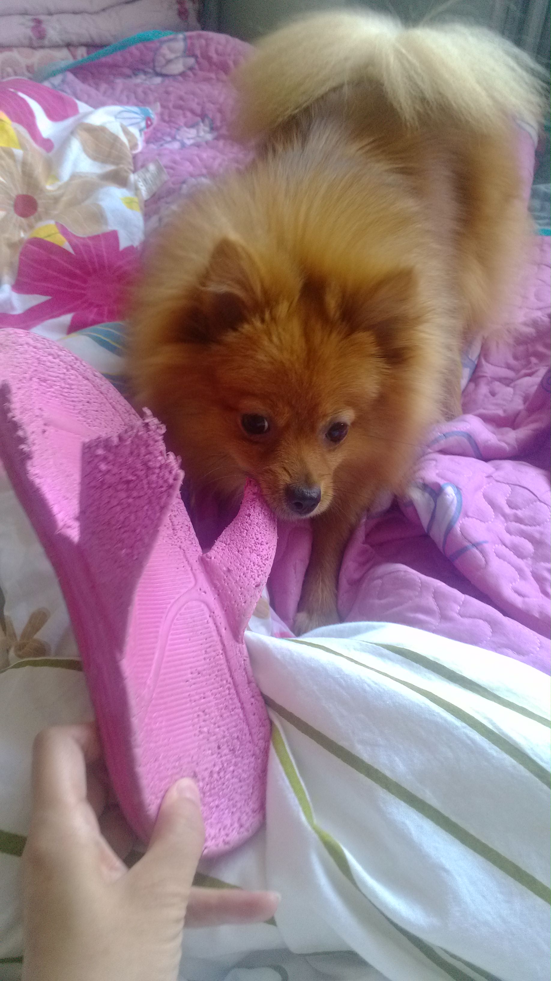 鿴ͼƬ