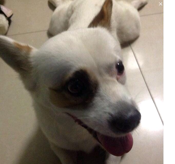 鿴ͼƬ