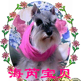 鿴ͼƬ