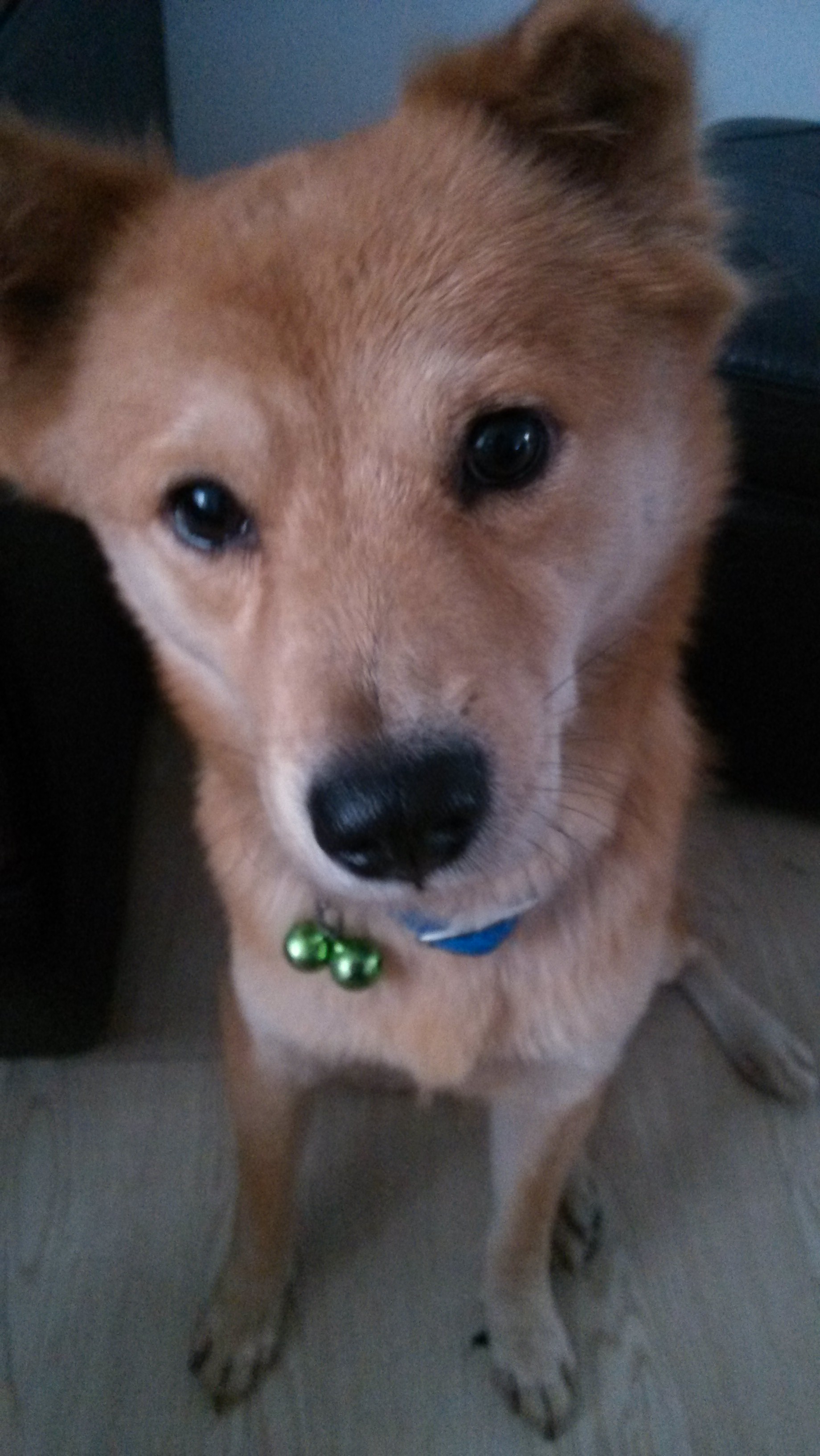 鿴ͼƬ