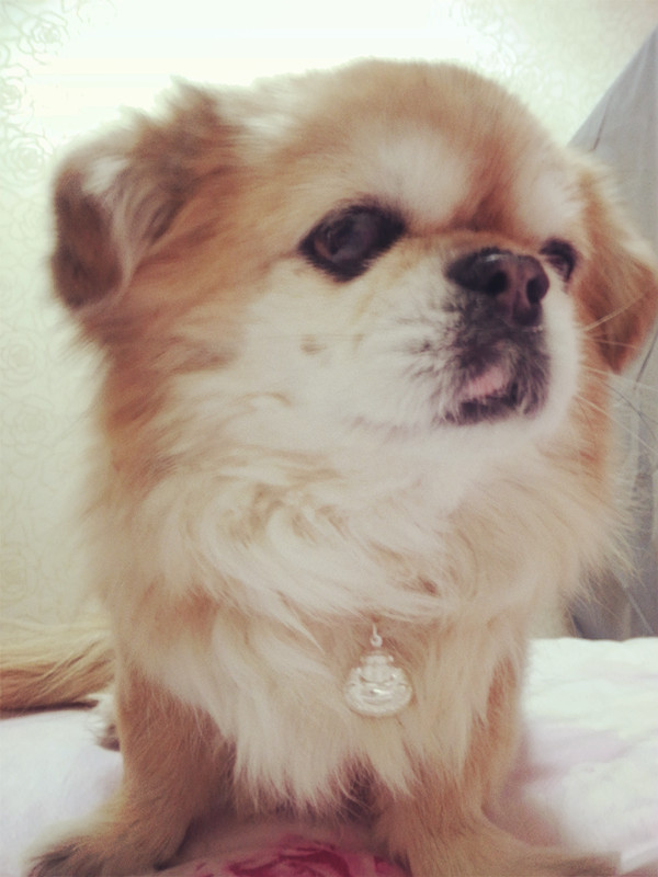 鿴ͼƬ
