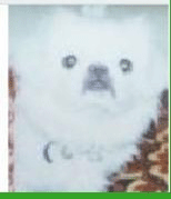 鿴ͼƬ