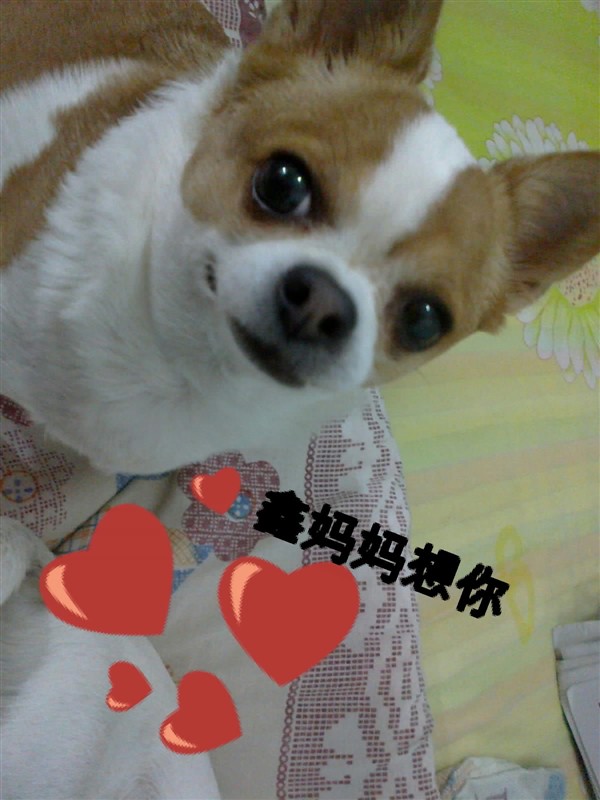 鿴ͼƬ