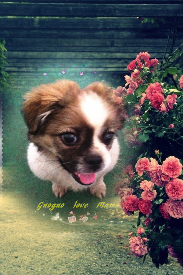 鿴ͼƬ