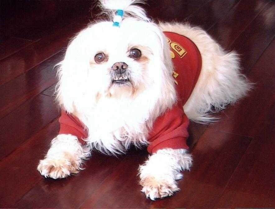 鿴ͼƬ