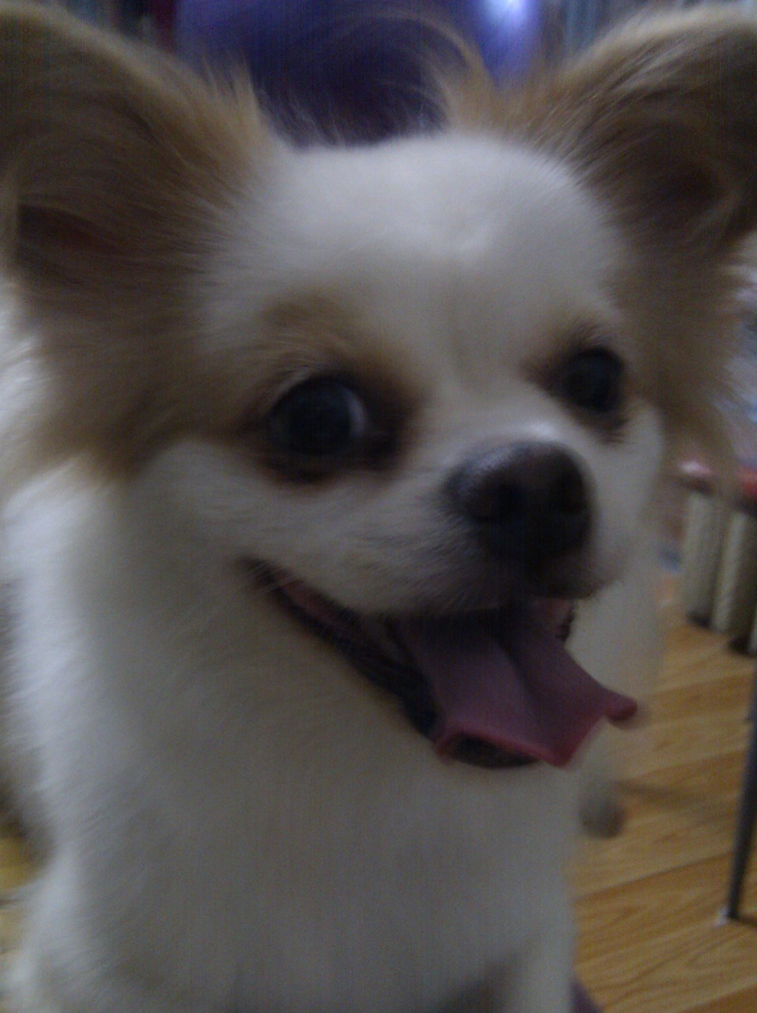 鿴ͼƬ