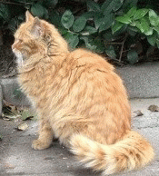 鿴ͼƬ