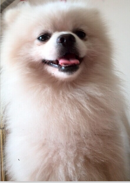 鿴ͼƬ