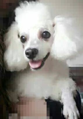 鿴ͼƬ