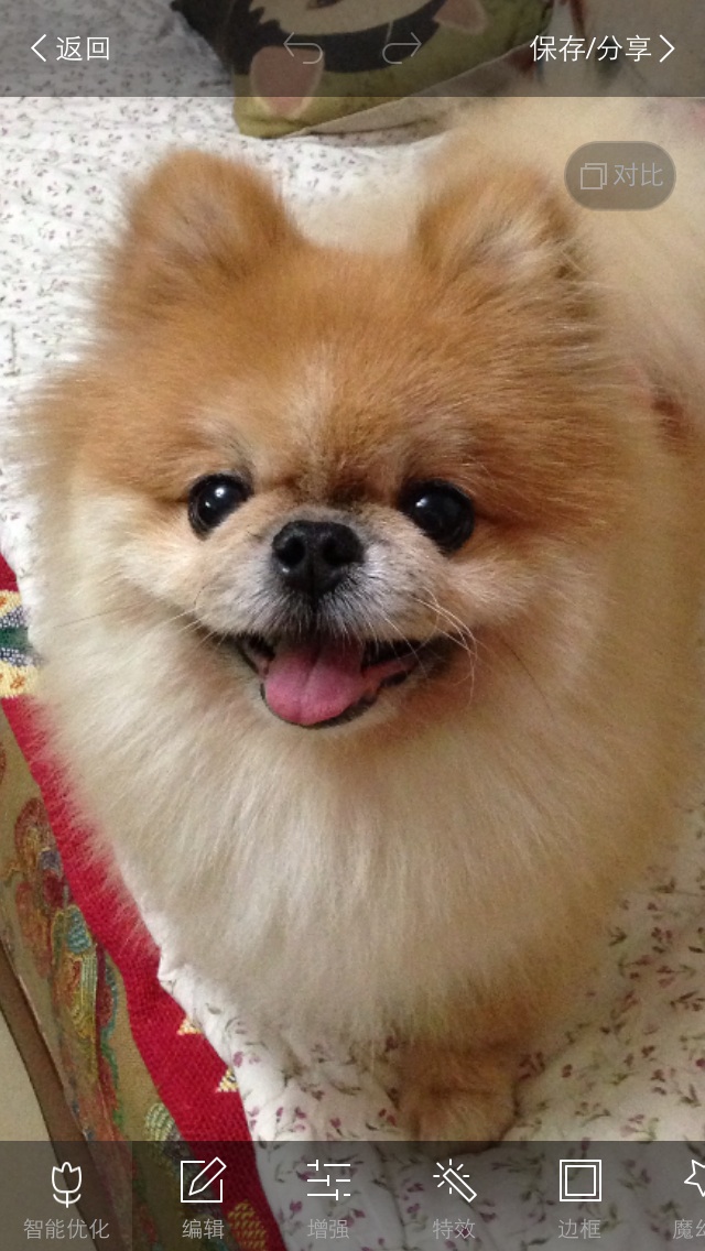 鿴ͼƬ