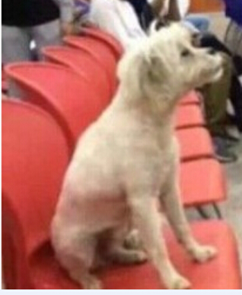 鿴ͼƬ
