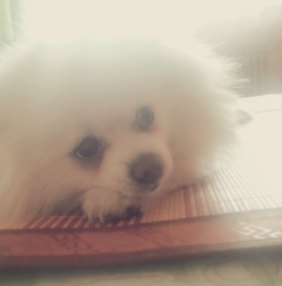 鿴ͼƬ
