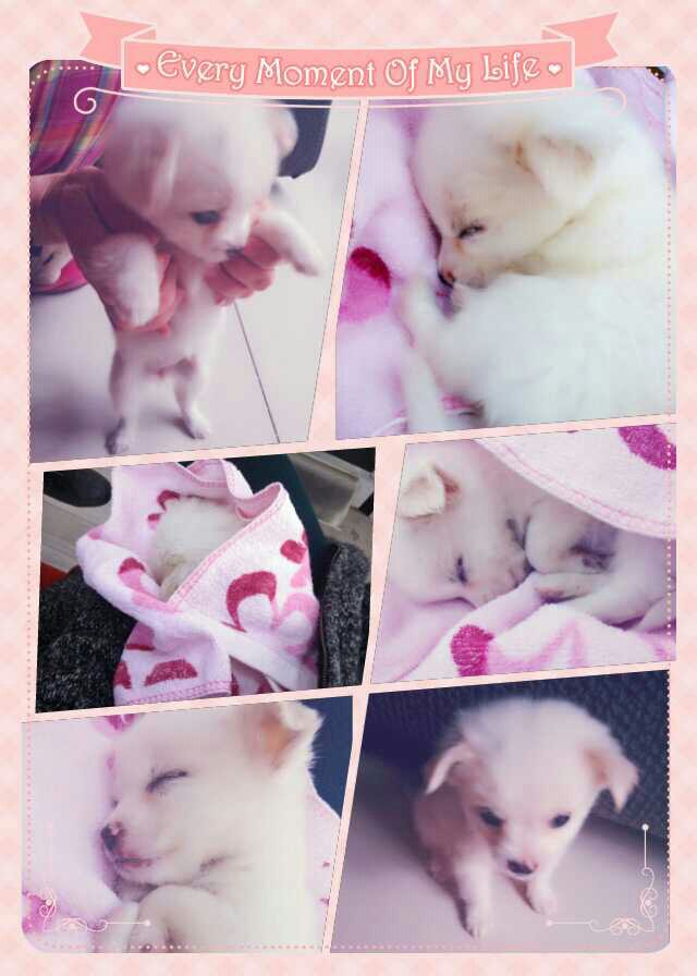 鿴ͼƬ