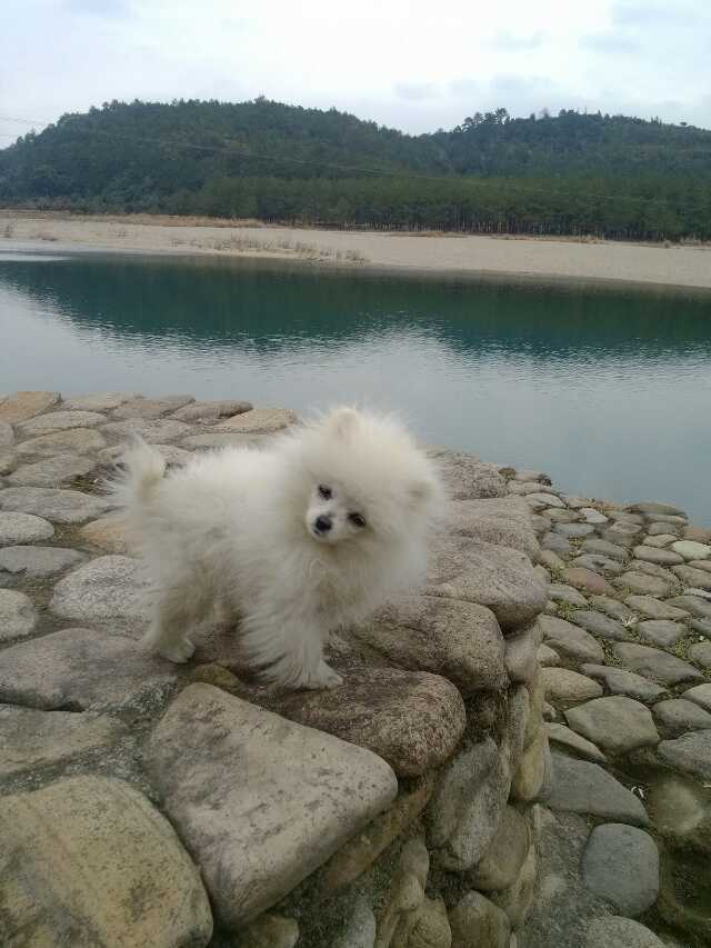 鿴ͼƬ