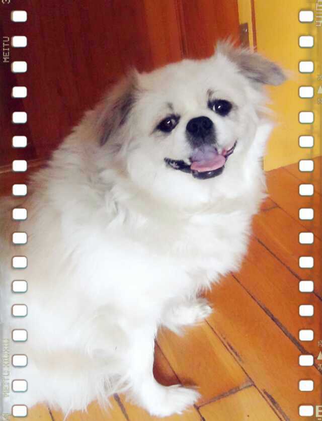 鿴ͼƬ