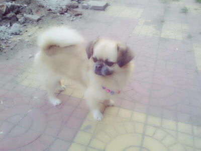 鿴ͼƬ