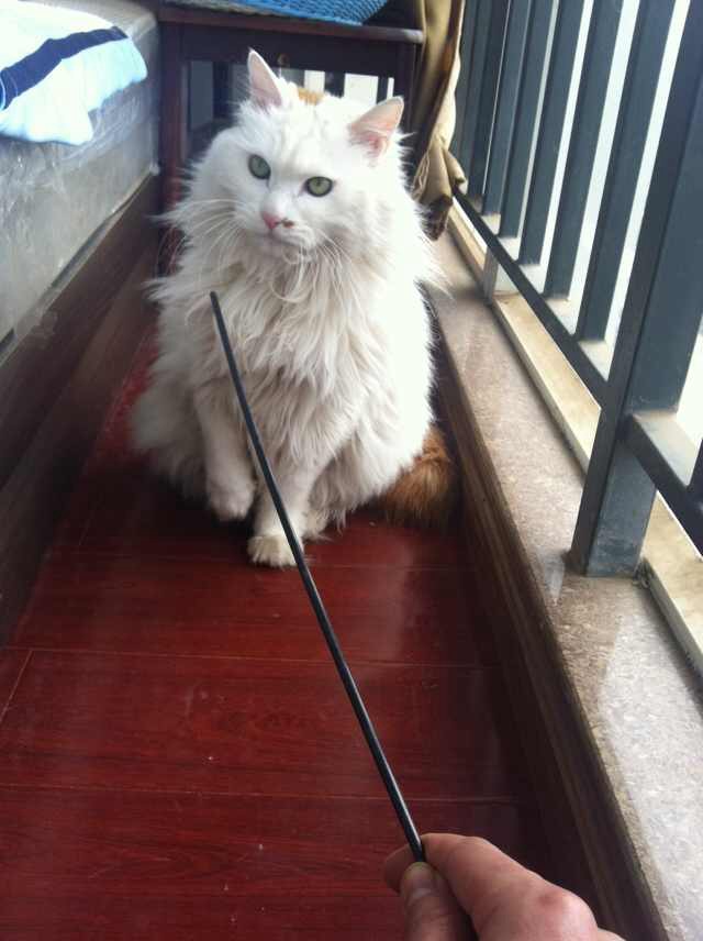 鿴ͼƬ
