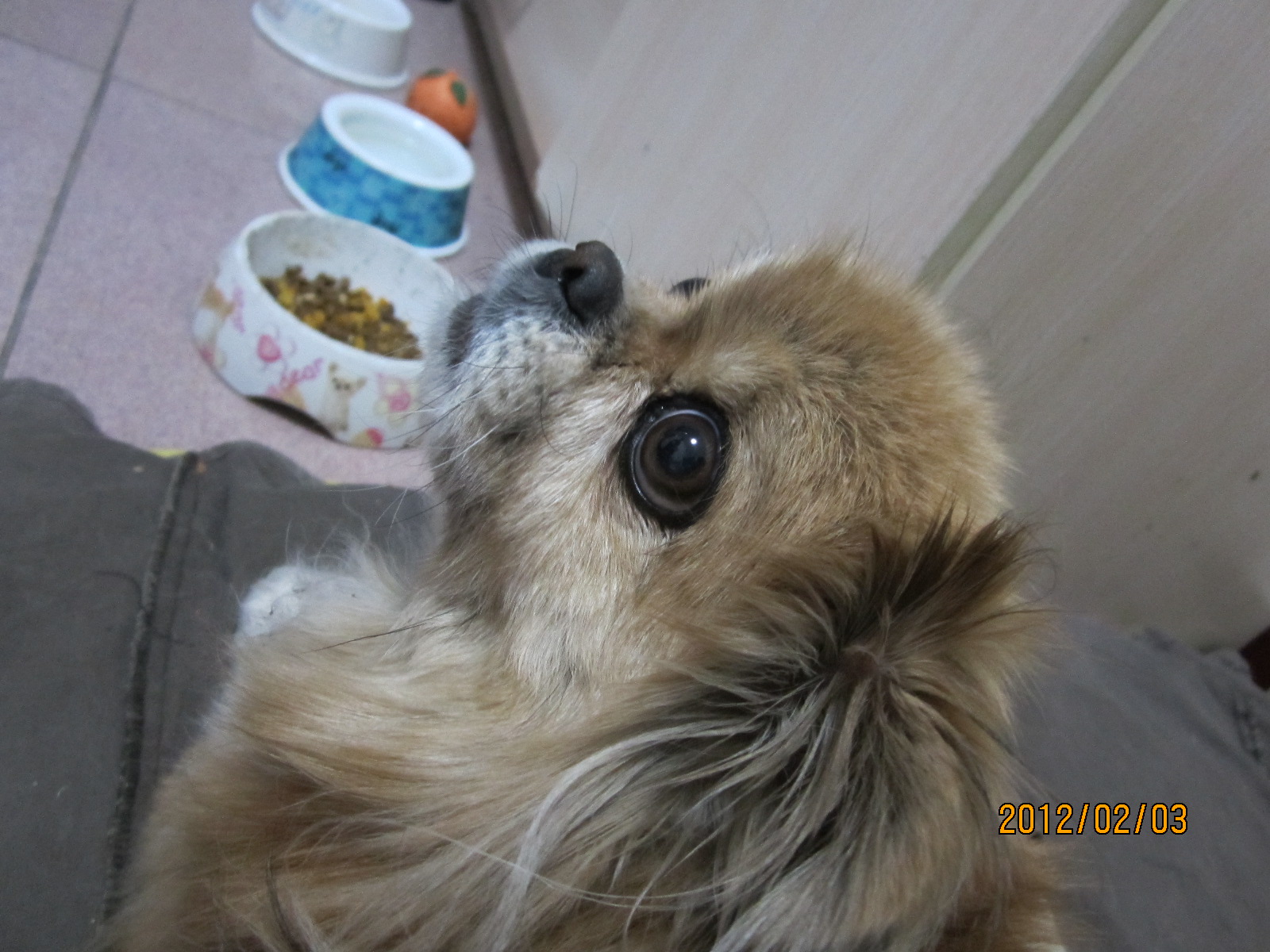 鿴ͼƬ
