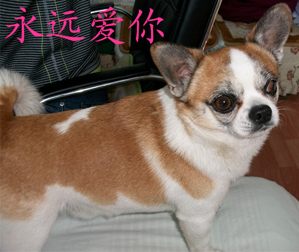 鿴ͼƬ