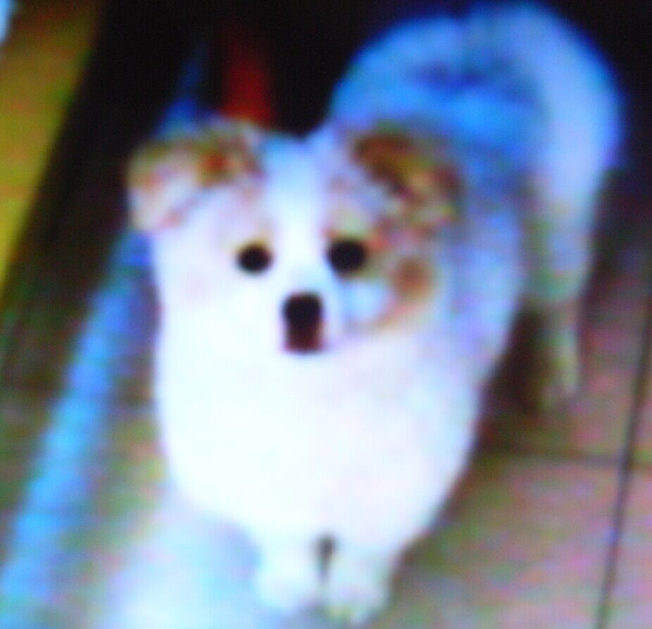 鿴ͼƬ