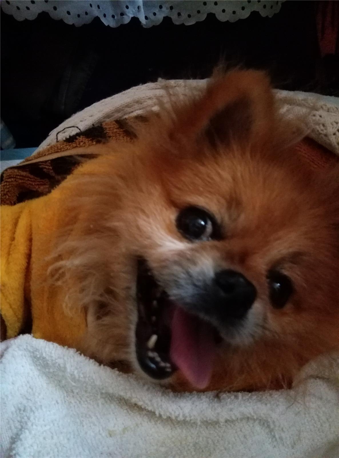 鿴ͼƬ