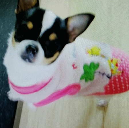 鿴ͼƬ