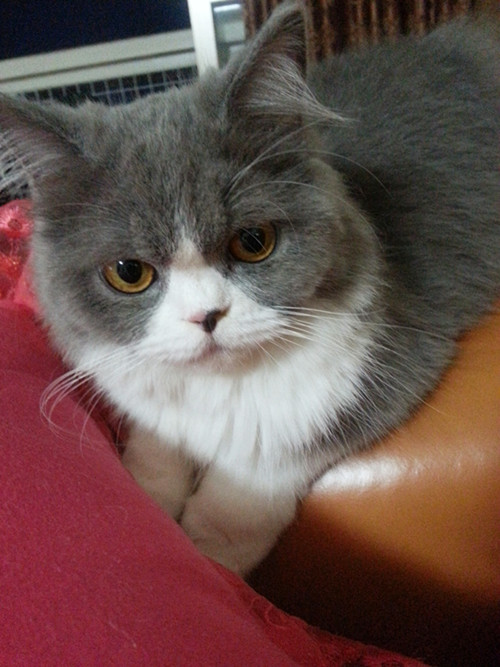 鿴ͼƬ