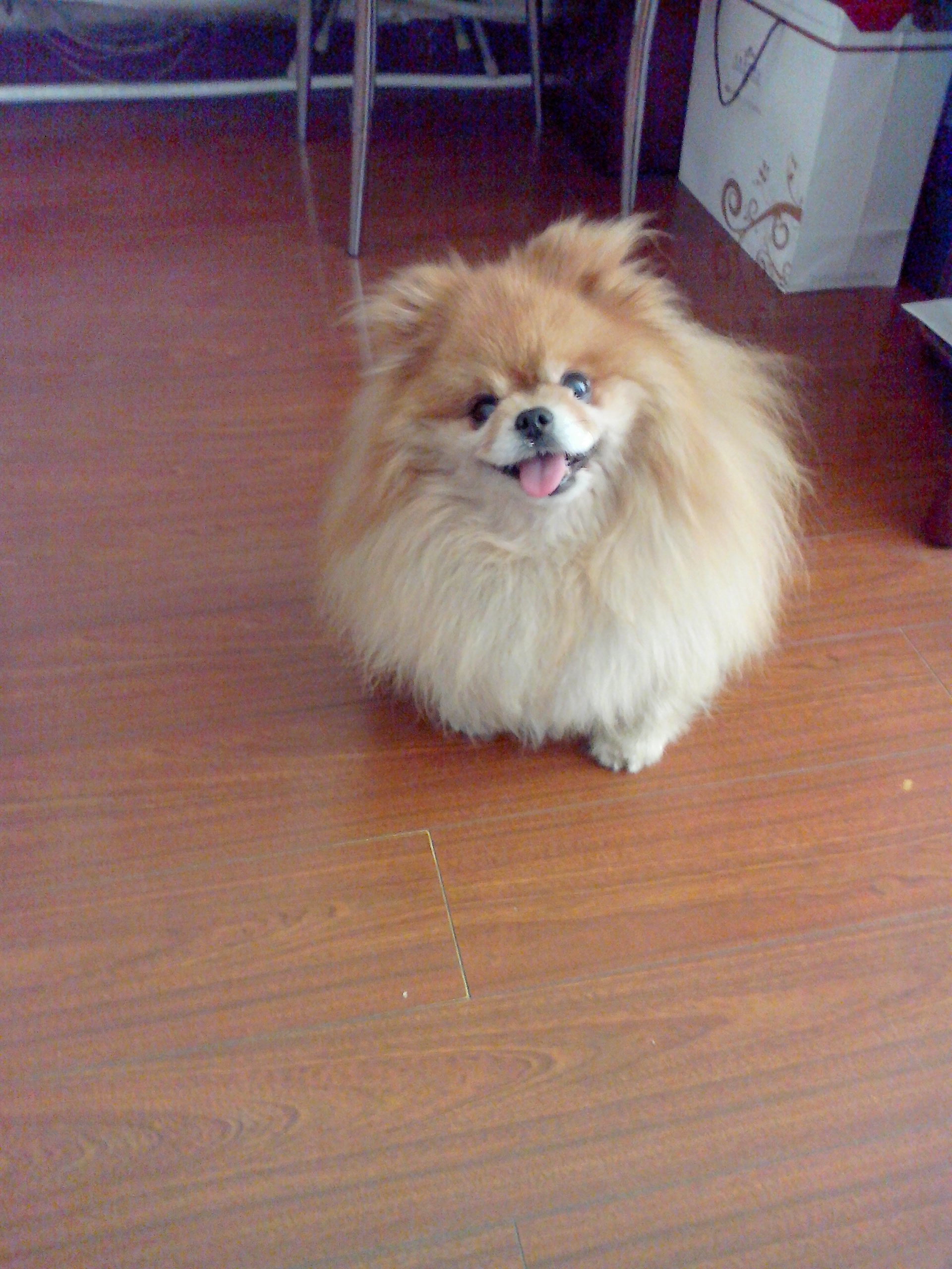 鿴ͼƬ
