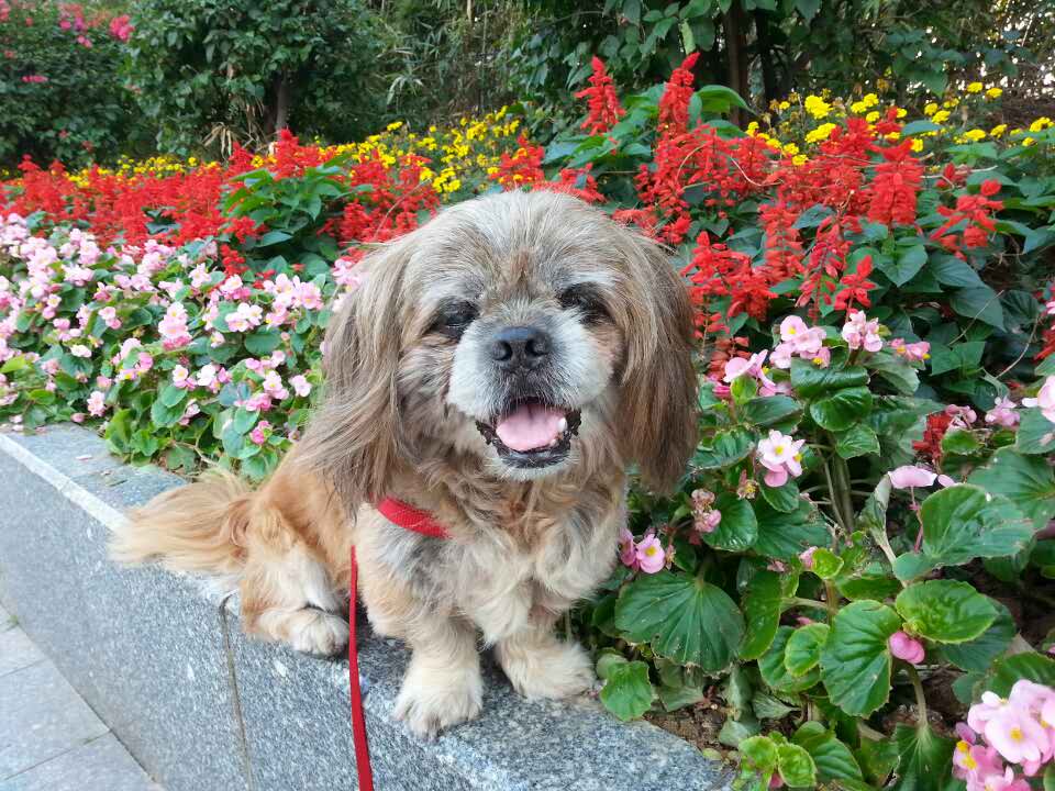 鿴ͼƬ