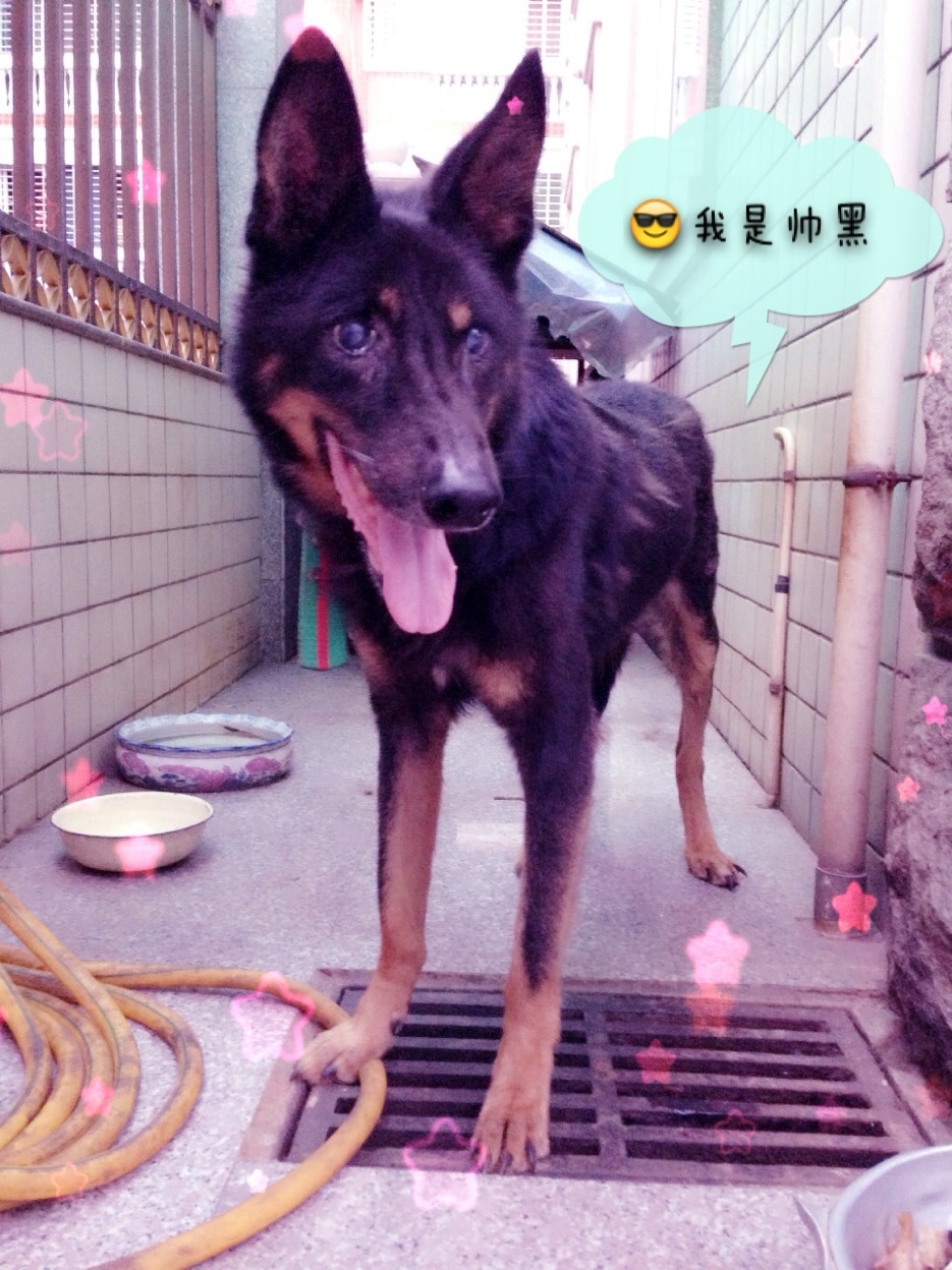 鿴ͼƬ