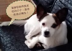 鿴ͼƬ