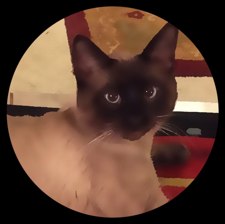 鿴ͼƬ