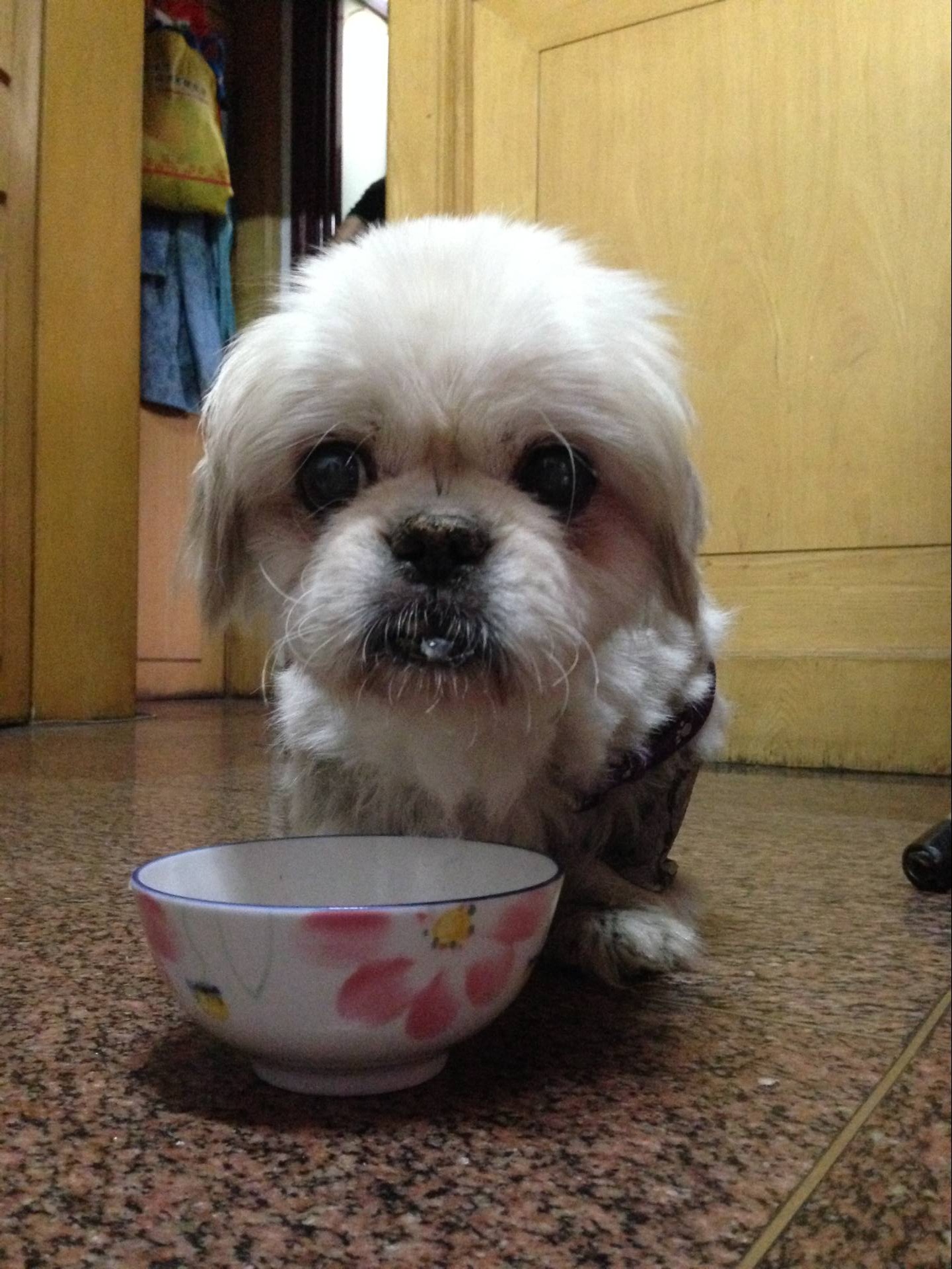 鿴ͼƬ
