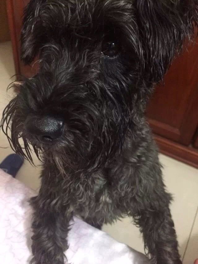鿴ͼƬ