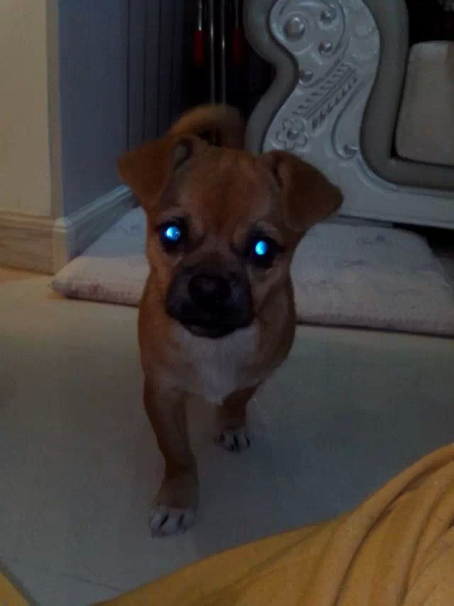鿴ͼƬ