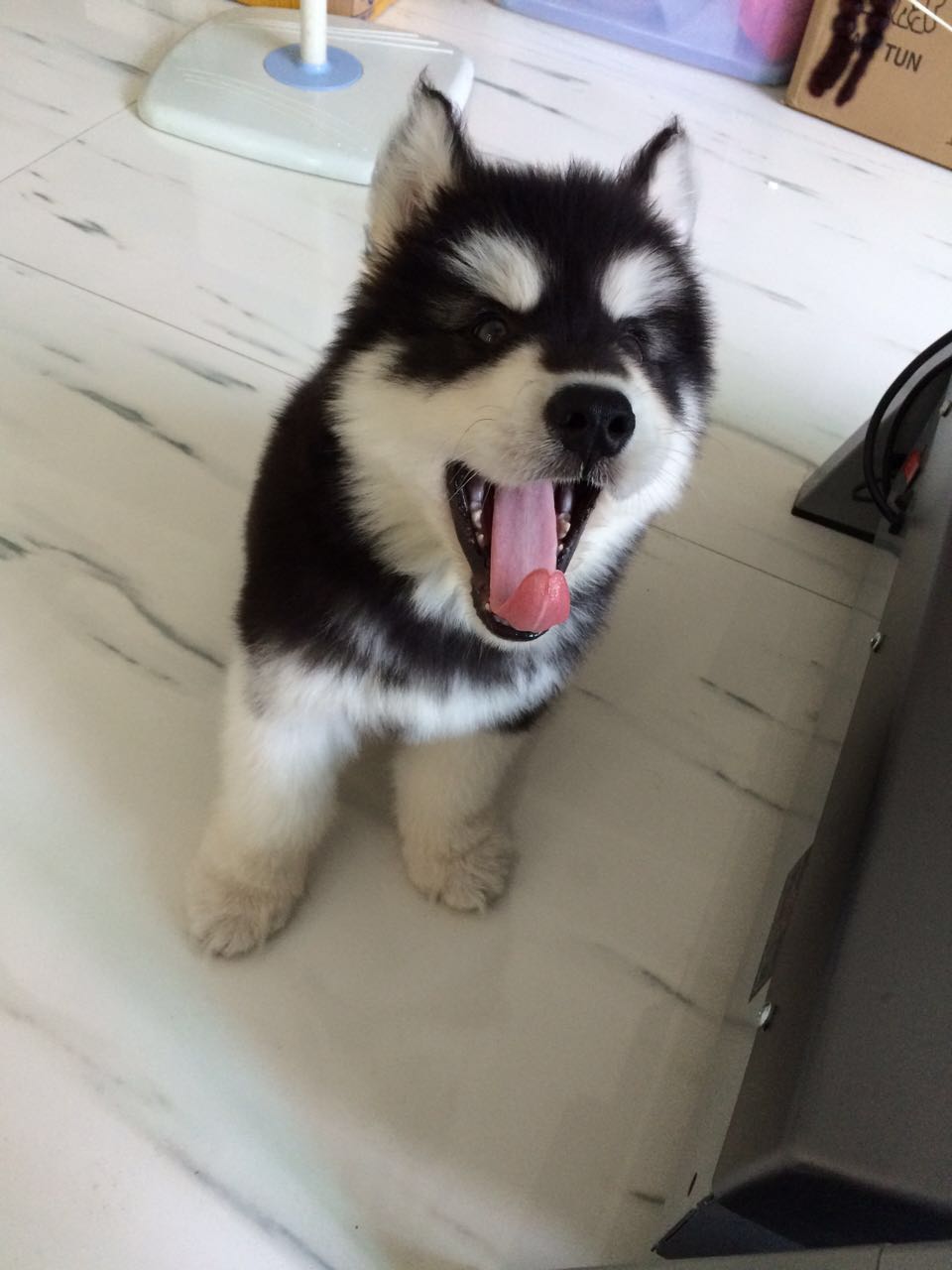 鿴ͼƬ