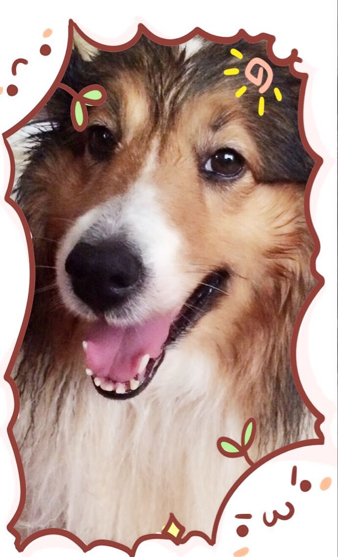 鿴ͼƬ