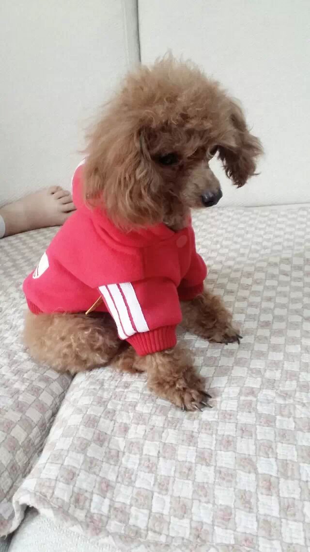 鿴ͼƬ