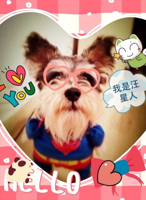 鿴ͼƬ