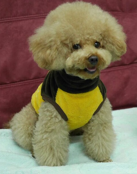 鿴ͼƬ