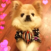 鿴ͼƬ