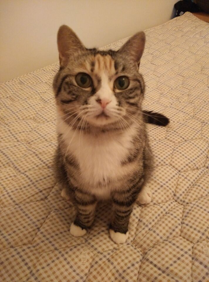 鿴ͼƬ