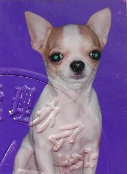 鿴ͼƬ