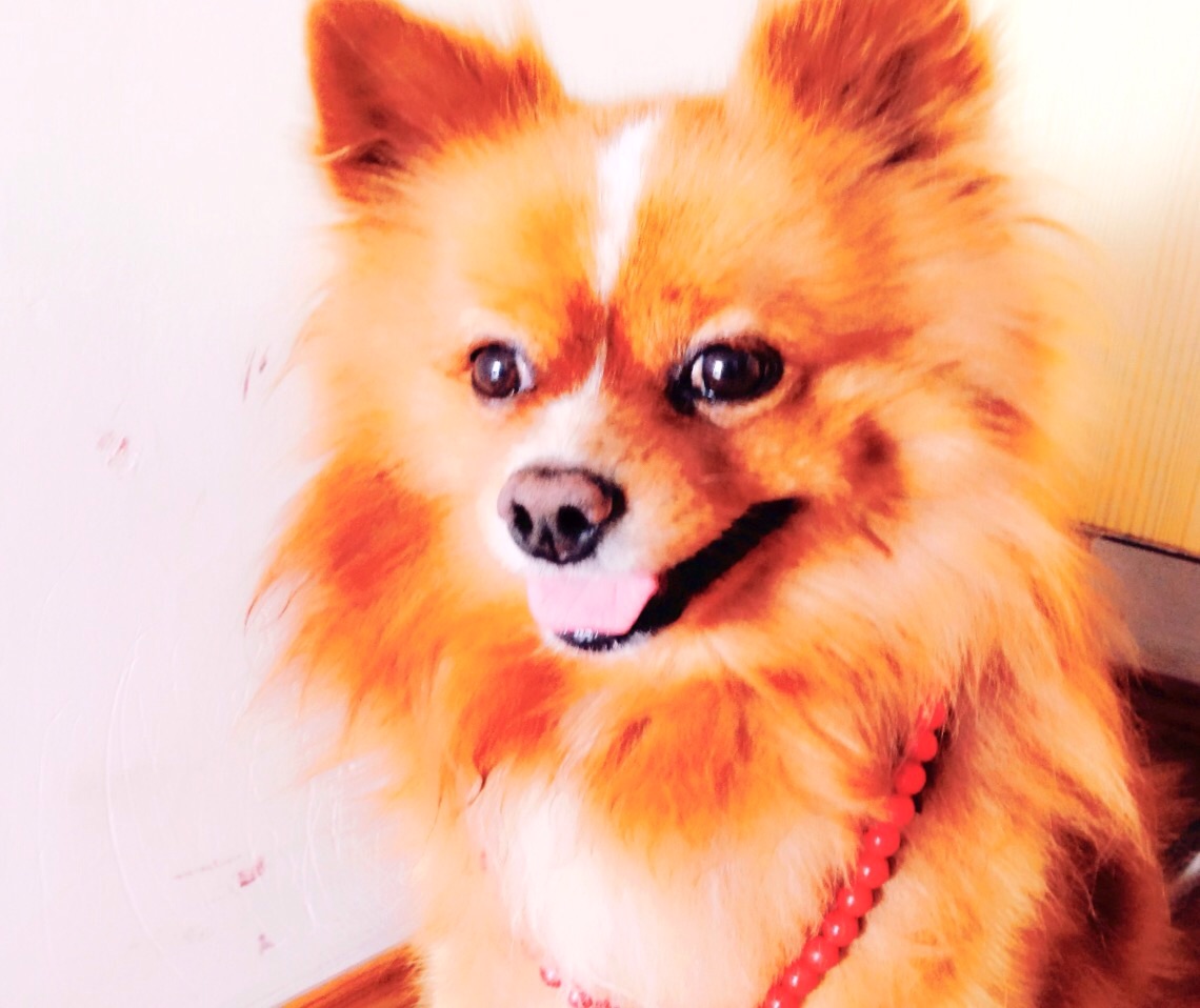 鿴ͼƬ