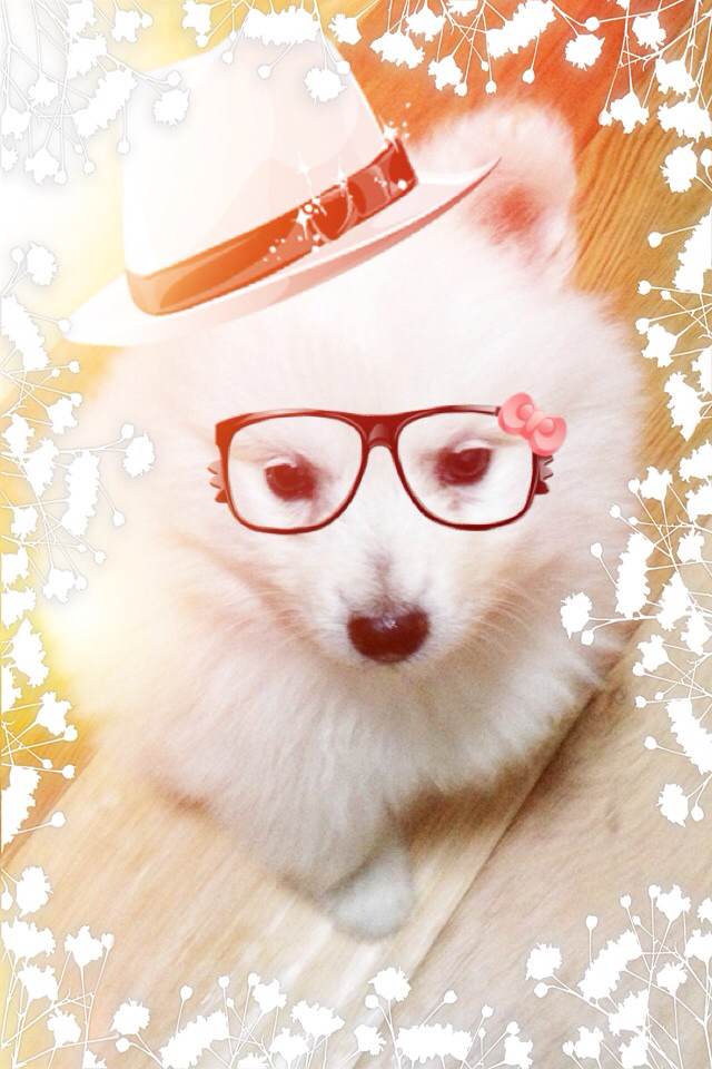 鿴ͼƬ
