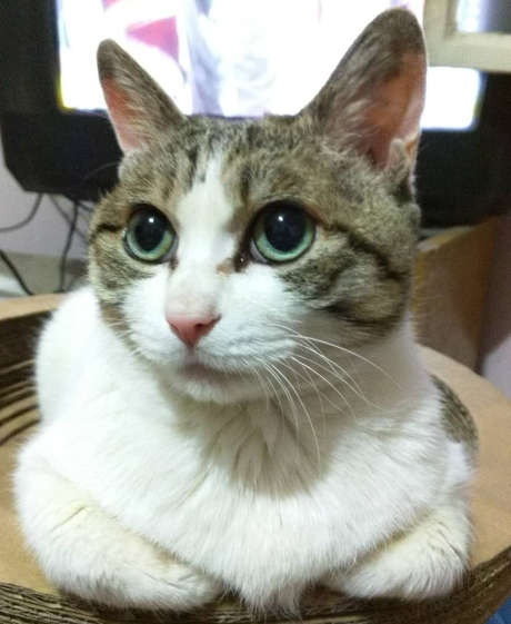 鿴ͼƬ