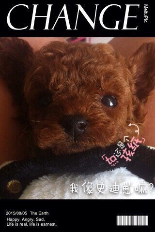 鿴ͼƬ