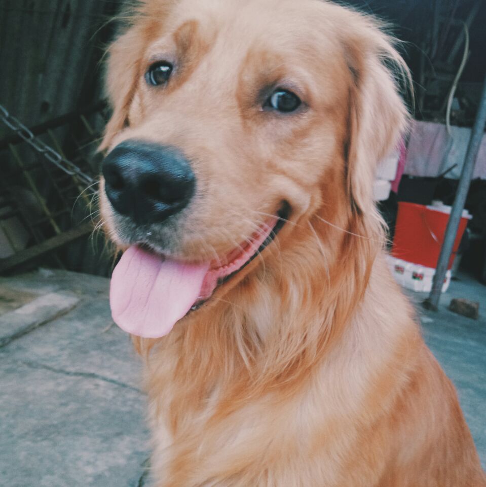 鿴ͼƬ