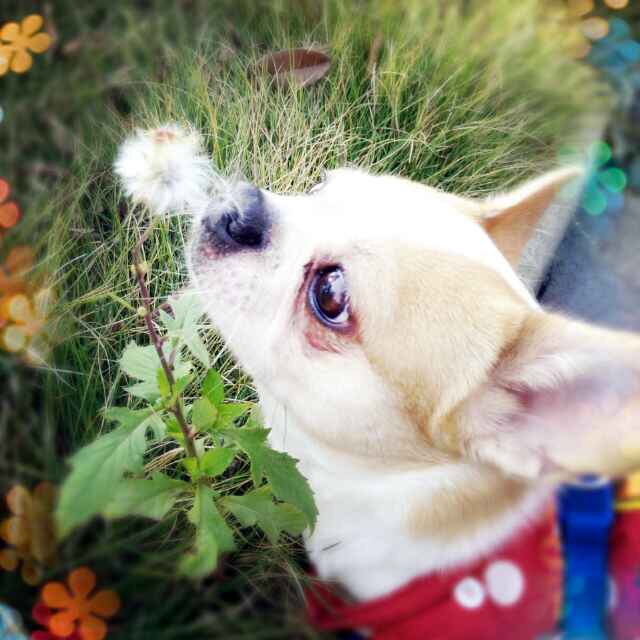 鿴ͼƬ